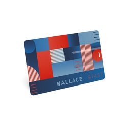 WALLACE 8GB. Clé USB 8GB UDP en ABS