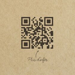 Plaid RPET250g  REPLAY