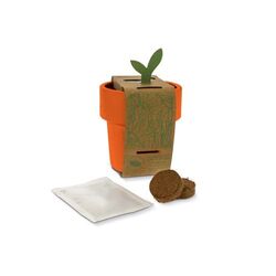 Tasse à café hot-but-cool avec graines de basilique