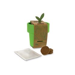 Tasse à café hot-but-cool avec graines de tomate cerise