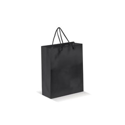 Moyen sac papier kraft