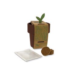 Tasse à café hot-but-cool avec graines de fraisiers