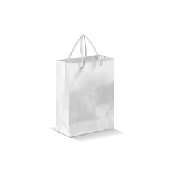 Sac papier Petit