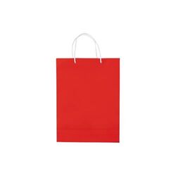 Sac papier Grand