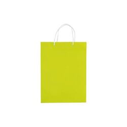 Sac papier Grand