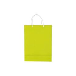Sac papier Grand
