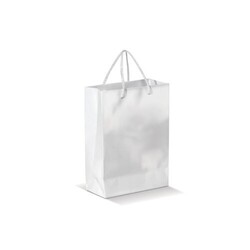 Sac papier Grand