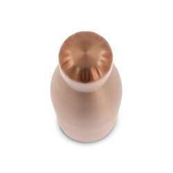 Bouteille isotherme Swing Luxe 500ml