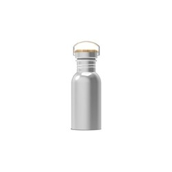Bouteille à eau Ashton 500ml