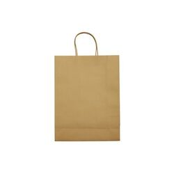 Sac papier Look Eco Grand 120g/m²