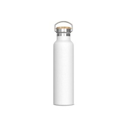 Bouteille Ashton 650ml