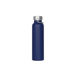 Bouteille Skyler 650ml