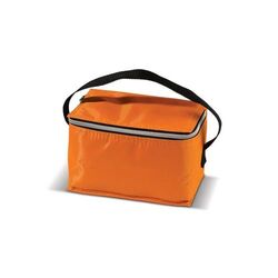 Sac isotherme 6 canettes 20 x 12.5 x 13 cm