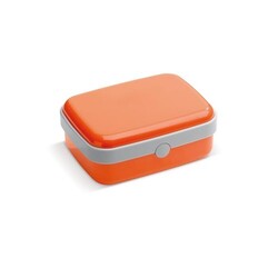 Boîte à lunch Fresh 1000ml