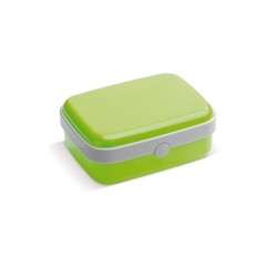 Boîte à lunch Fresh 1000ml