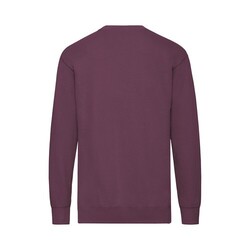 Sweat-Shirt Adulte Lightweight Set-In S