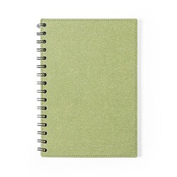 Cahier Idina