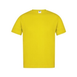 T-Shirt Adulte Couleur 