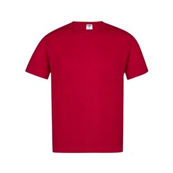 T-Shirt Adulte Couleur 