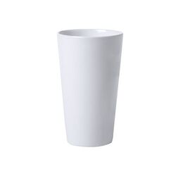 Tasse Korpus