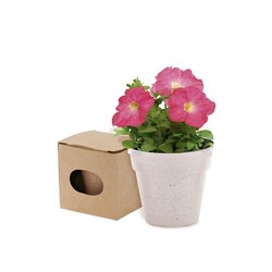 Pot de Fleurs Advert