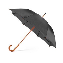 Parapluie Santy