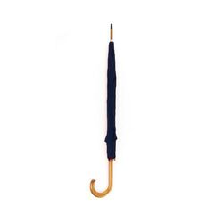Parapluie Santy