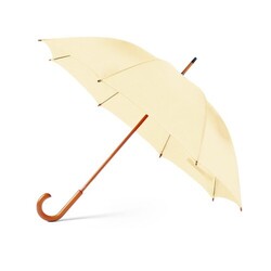 Parapluie Santy