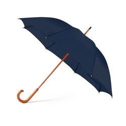 Parapluie Santy