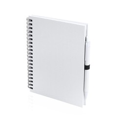 Cahier Koguel