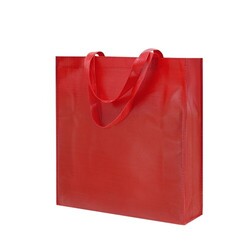 Sac Divia