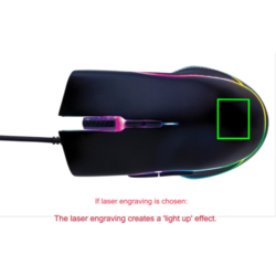 Souris gaming RGB