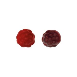 BIO Fruits à baies en sachet promo, BIO Fruits à baies vegan