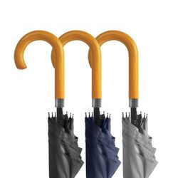 Parapluie ville auto CHARMANT