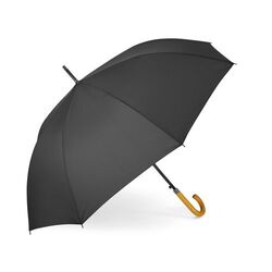 Parapluie ville CHARMANT