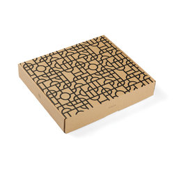 VINGA Couverture Verso