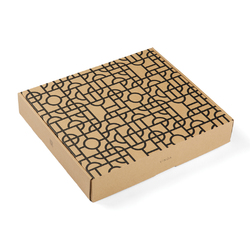 VINGA Couverture Verso