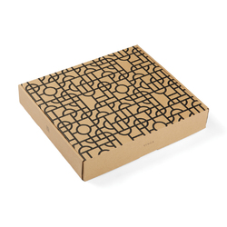 VINGA Couverture Verso