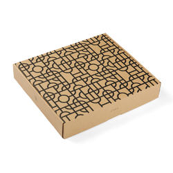 VINGA Couverture Verso