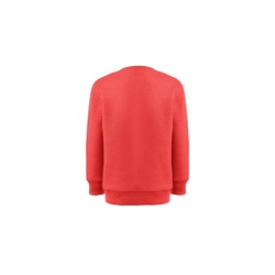 THC DELTA KIDS. Sweat-shirt pour enfants en coton et polyester recyclés