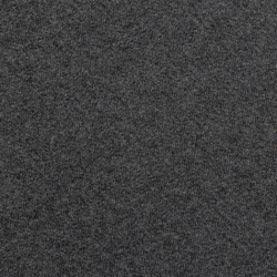 T-shirt en coton recyclé non teinté IQONIQ Manuel