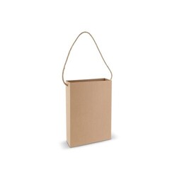 Sac en carton 24x8x32cm