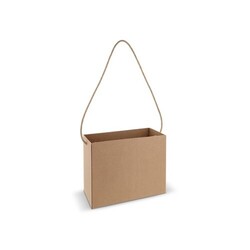 Sac en carton 32x16x24cm