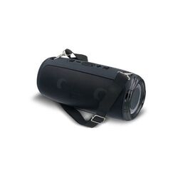 Grande enceinte avec bandoulière 20W