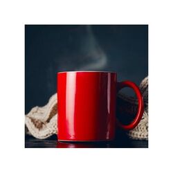 Mug Oslo Rouge 300ml