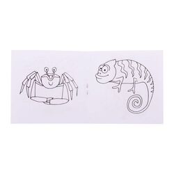 Set de coloriage personnalisé, animaux Coloxil 12