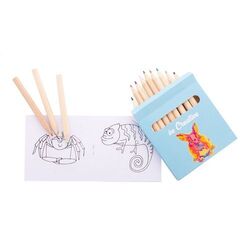 Set de coloriage personnalisé, animaux Coloxil 12