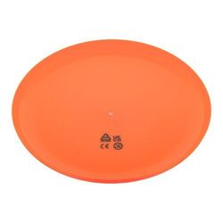 Frisbee Reppy