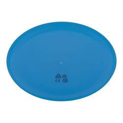 Frisbee Reppy