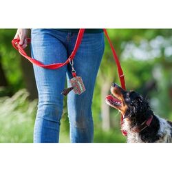 Distributeur Sur Mesure De Sachets Pour Chiens Rpet. Pavesave